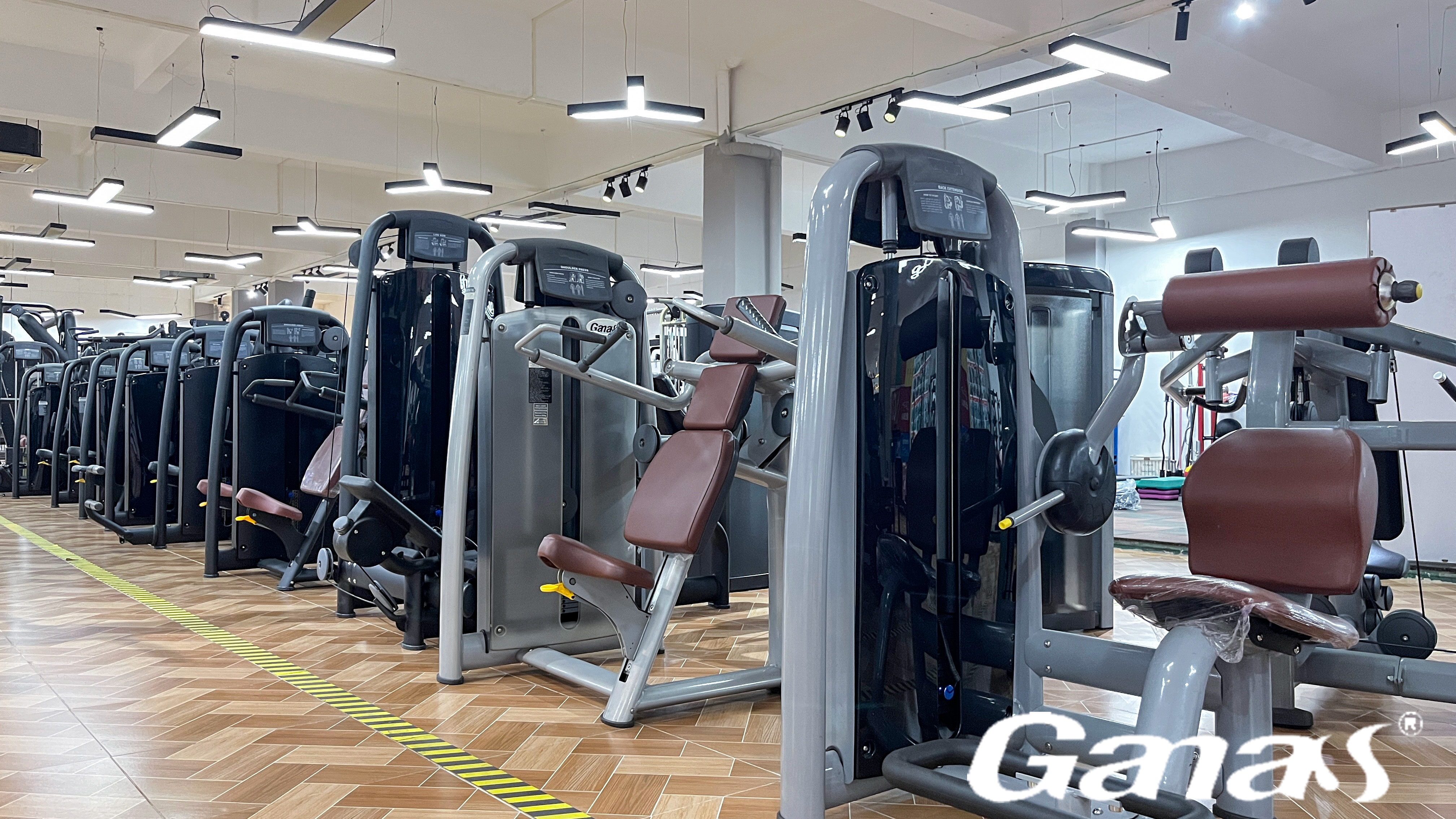 gym equipment (2)_SF6EFqyT.jpg